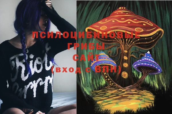 прущие крисы Покачи