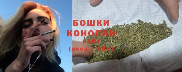 прущие крисы Покачи