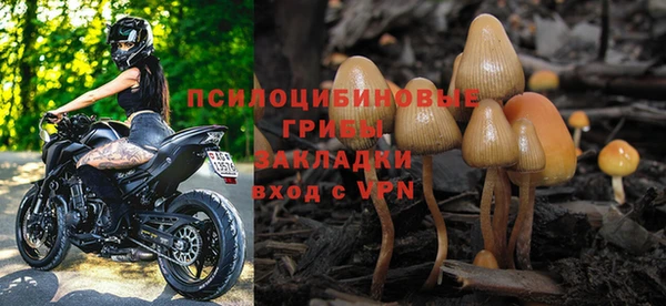 дживик Алексеевка