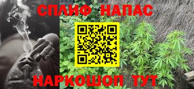 тгк Будённовск