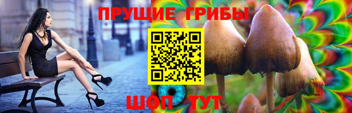 Белореченск  Псилоцибиновые грибы MAGIC MUSHROOMS  где купить наркоту  Вход с VPN 